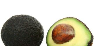 owoc awokado