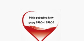 media spolecznosciowe kampanie