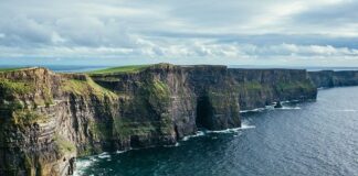 piwo guiness i Irlandia