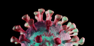 epidemia koronawirusa