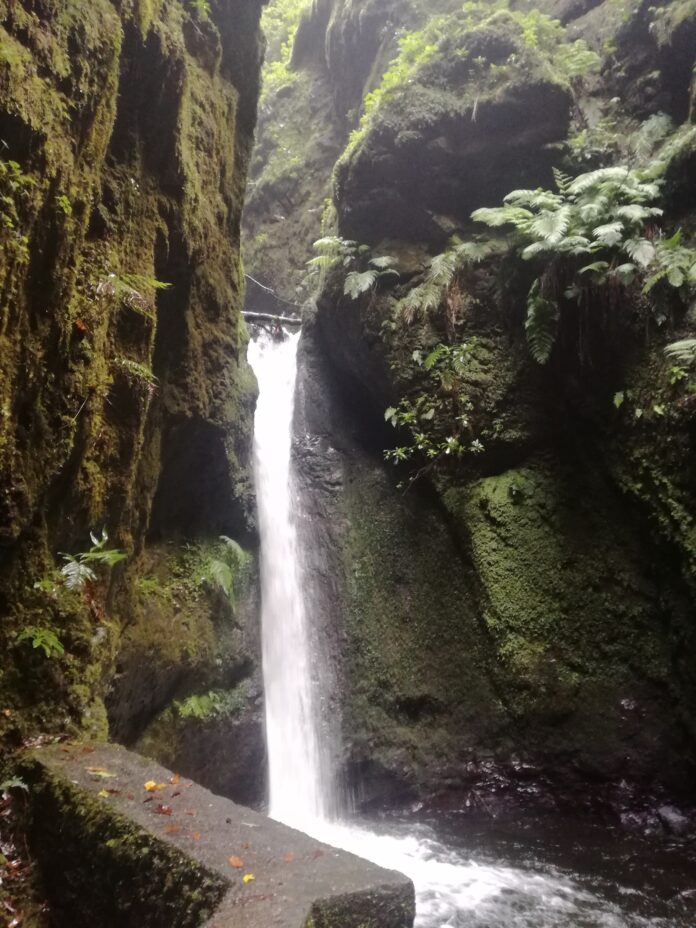 co zwiedzić na Maderze