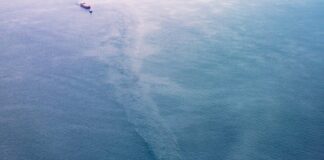 Jak zrobić bułkę tartą?