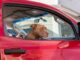 Jakie używane auto najlepiej się sprzedają? Jakie auto do 40 tys 2023?