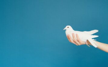 Jak można coś osiągnąć w życiu?