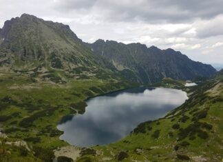 Czy Żabka to polski sklep?