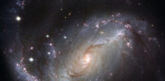 Ile się zarabia jako Youtuber?