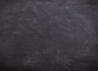 Co oznacza czarny pająk w domu?