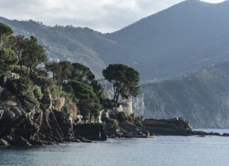 Ile kosztuje metr kwadratowy paneli ściennych?