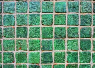 Co można położyć na ścianę w kuchni zamiast płytek? Co można położyć na ścianę w kuchni zamiast płytek?