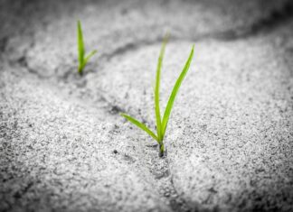 Jaka jest trwałość papy termozgrzewalnej? Jaka jest trwałość papy termozgrzewalnej?