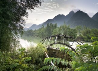 Ile za położenie paneli winylowych? Ile za położenie paneli winylowych?