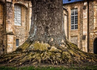 Czy grubsze panele są lepsze?