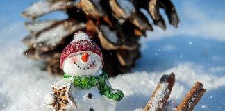 Jak zrobić bałwana z rolki po papierze toaletowym?