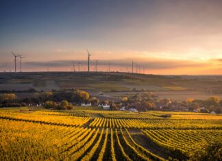 Jakie części rolnicze są najważniejsze dla osób pracujących w gospodarstwie